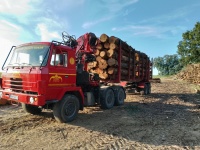 Tatra